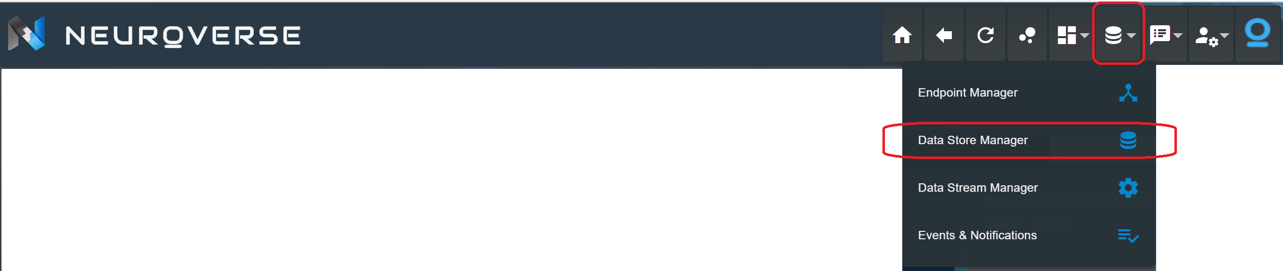 DSM_Navigate.png