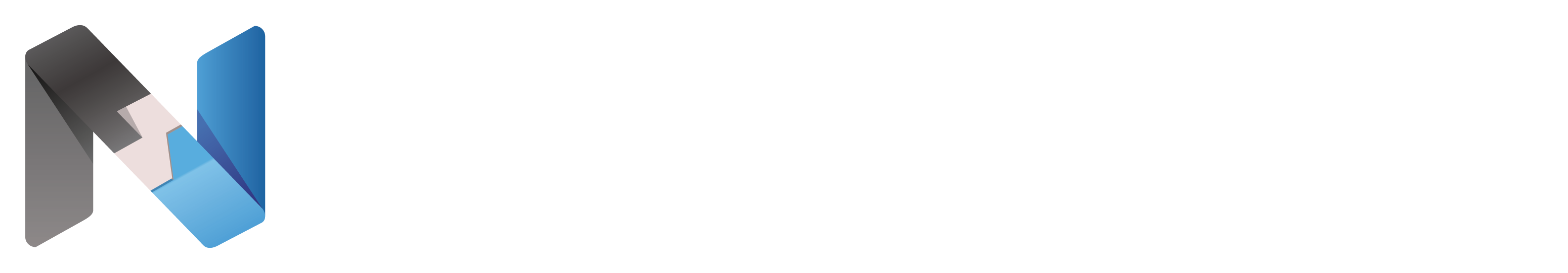 Neuroverse Documentation
